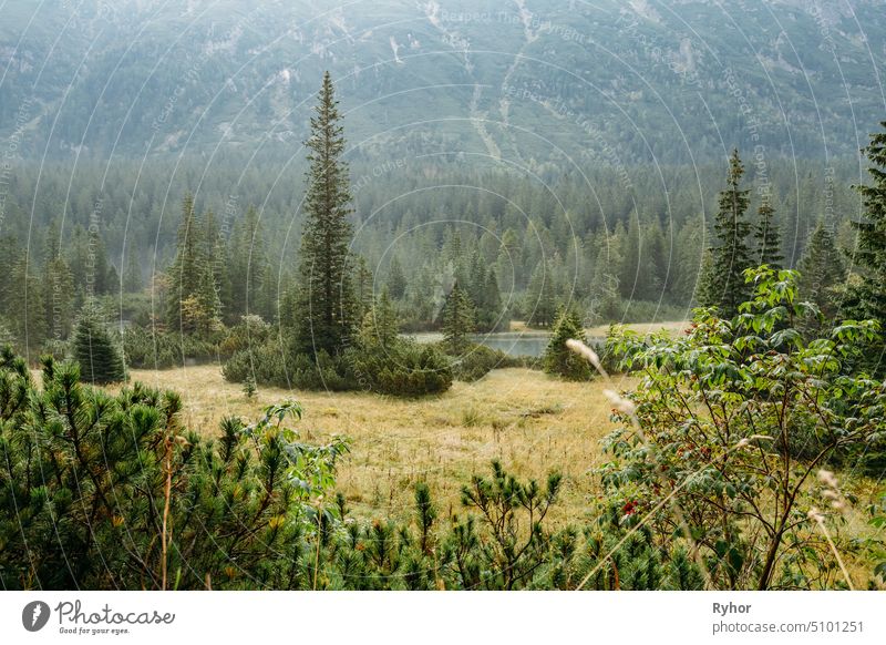 Tatra-Nationalpark, Polen. Kleine Berge See Zabie Oko oder Male Morskie Oko im Sommer Morgen. Fünf-Seen-Tal. Schöne landschaftliche Aussicht. Europäische Natur