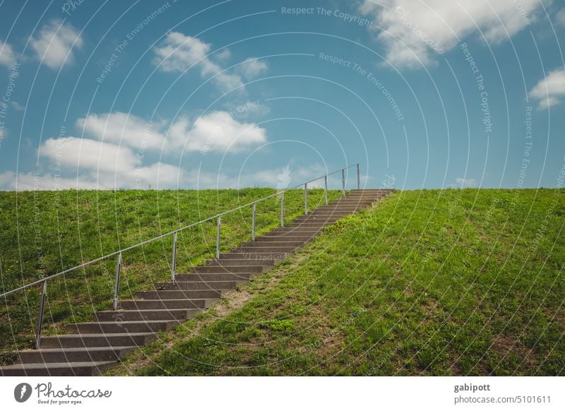 alles steigt Treppe aufwärts Stufen Architektur Menschenleer Treppengeländer Geländer Treppenstufen aufsteigen Strukturen & Formen Himmel Wolken Wiese