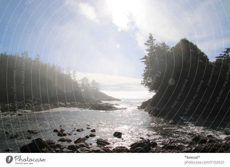 MacKenzie Beach im nebel_2 Strand Wasser Sonne Himmel Wolken Nebel Felsen Bäume Meer Natur Küste Landschaft schleierwolken Horizont Sommer Pazifik Tofino