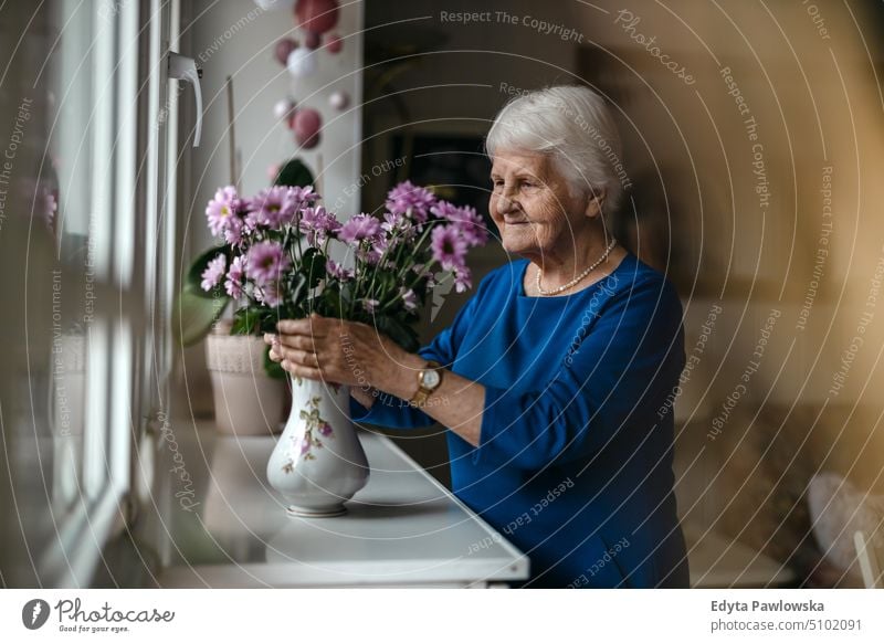 Porträt einer älteren Frau in ihrer Wohnung Lächeln Glück genießend positiv Freude Menschen Senior reif heimwärts Haus alt Alterung häusliches Leben Großmutter