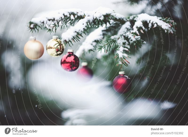 Christbaumkugeln an einer verschneiten Tanne im Winter zu Weihnachten Weihnachten & Advent Weihnachtsbaum Schnee Tannenbaum Weihnachtsdekoration winterlich