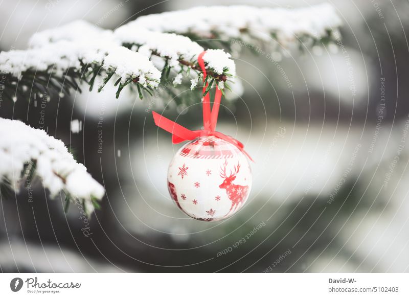 Christbaumkugel an einem verschneiten Tannenbaum im Winter Weihnachten & Advent weihnachtlich festlich Weihnachtsdekoration Weihnachtsstimmung Weihnachtsbaum