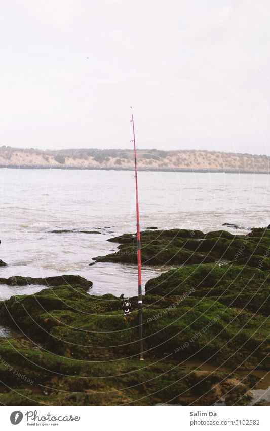 Angeln vibes Szenerie Fisch Fischerdorf Fischereiwirtschaft Fischen Vibrationen Schwingung Landschaft Szenen Schauplätze - Natur Landschaft - Natur