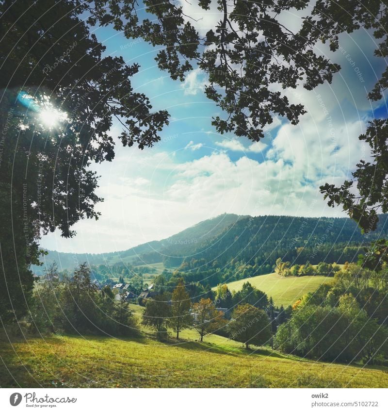 Waltersdorf, Zittauer Gebirge beschaulich Wald Dorfrand Tal Berge u. Gebirge Außenaufnahme Umwelt Wiese Horizont Baum Gras Haus Sträucher Ferne Farbfoto