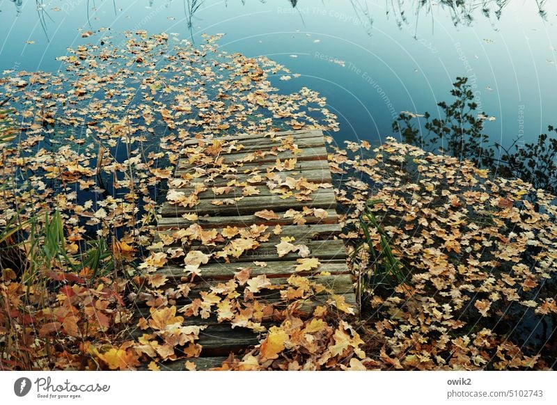 Versteckspiel weltverloren abseits draußen Ruhe windstill Wasser friedlich Teich Landschaft Idylle ruhig Wasserspiegelung verwunschen entlegen geheimnisvoll