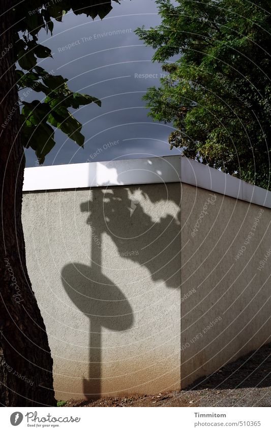 Wetter | da kommt was Himmel Gewitterwolken Baum Gebäude Mauer Wand Blick dunkel grau grün schwarz Schatten Verkehrsschild Blatt Baumstamm Ecke Flachdach