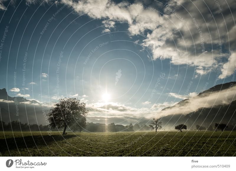 morgenstund II Umwelt Natur Landschaft Erde Himmel Wolken Sonne Sonnenaufgang Sonnenuntergang Sonnenlicht Herbst Schönes Wetter Nebel Pflanze Baum Wiese Feld