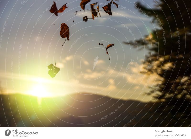 Autumn evening Natur Landschaft Himmel Wolken Horizont Sonnenaufgang Sonnenuntergang Sonnenlicht Herbst Schönes Wetter Blatt Hügel entdecken ästhetisch