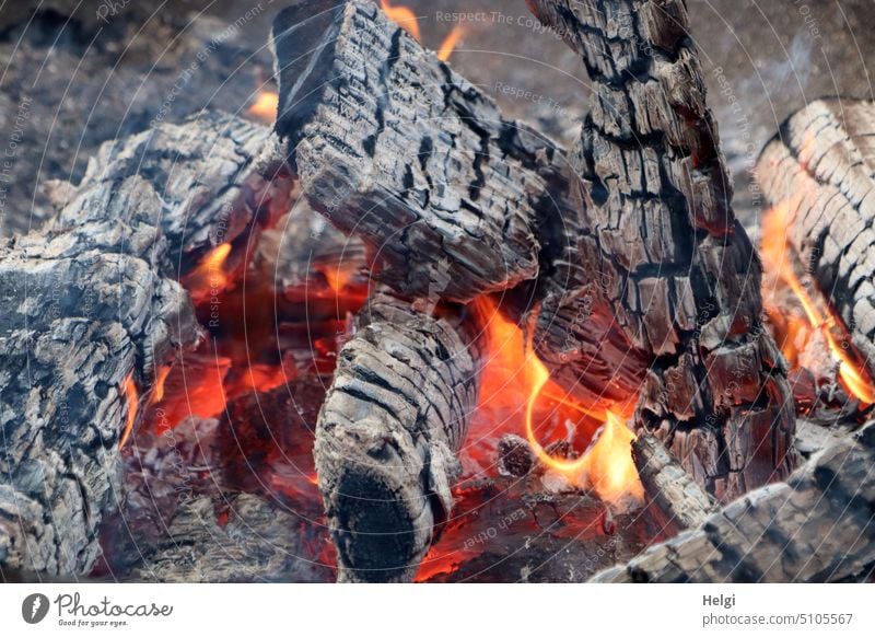 schön warm - verbrannte Holzscheite, Flammen und Glut an einer Feuerstelle brennen wärmen Wärme Winter heiß glühen Außenaufnahme Farbfoto Menschenleer glühend