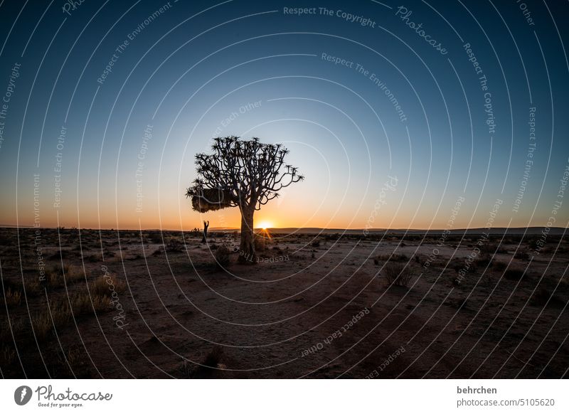 weil wir glauben magisch beeindruckend besonders traumhaft Himmel Abenteuer Einsamkeit Freiheit Natur Ferien & Urlaub & Reisen Landschaft Farbfoto reisen