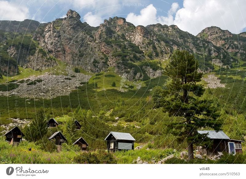 Holzhaus (Bungalow) bei Raststätte Maliovitza Natur Landschaft Pflanze Himmel Wolken Sommer Schönes Wetter Baum Blume Gras Sträucher Wiese Wald Hügel Felsen