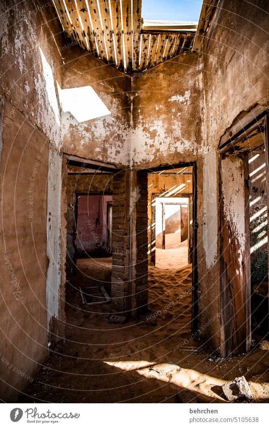 versandet alt kaputt zerstört Haus Naturgewalt zerfall Sonnenlicht Kolmannskuppe beeindruckend Farbfoto Fernweh trocken Geisterstadt Ruine Sand Licht Schatten