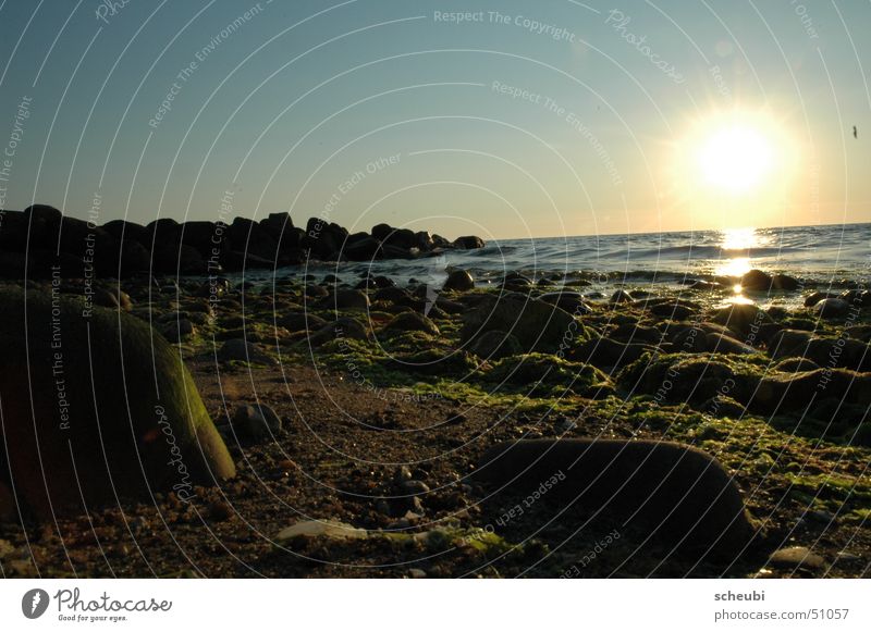 ein Tag vergeht Sonnenuntergang grün Strand Ferien & Urlaub & Reisen Wasser Stein Dänemark