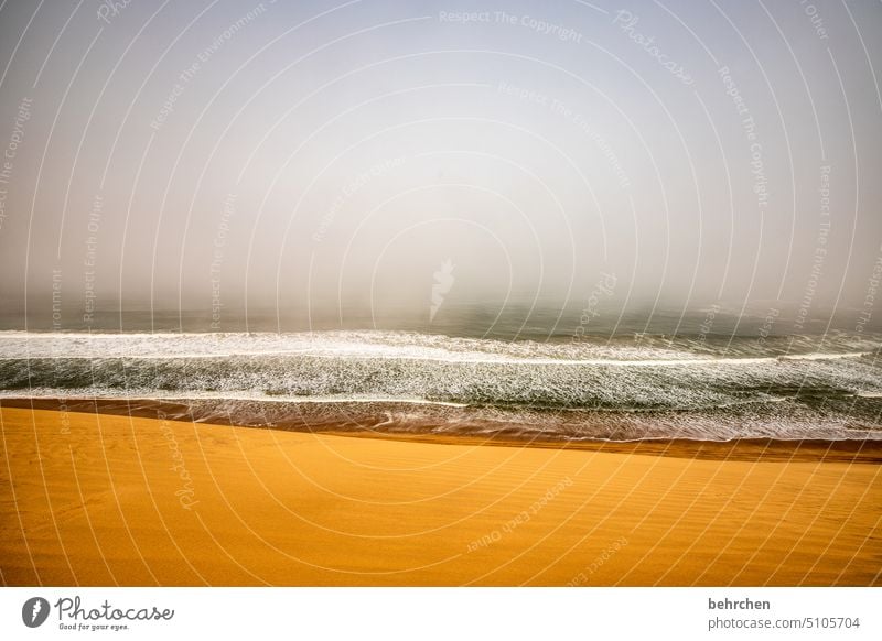 nebelmeer Küste Nebel Wolken besonders Außenaufnahme sandwich harbour Wüste träumen Afrika Namibia Sand Meer Ferne Fernweh reisen Farbfoto Landschaft Abenteuer