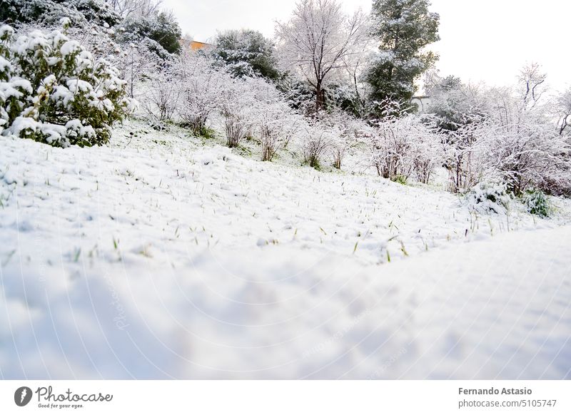 Schnee. Winter. Die Straßen sind mit einer weißen Schneedecke bedeckt, die alle Elemente auf der Straße bedeckt. Kaltes Konzept. Winter-Konzept. Winter 2022. Fotografie.