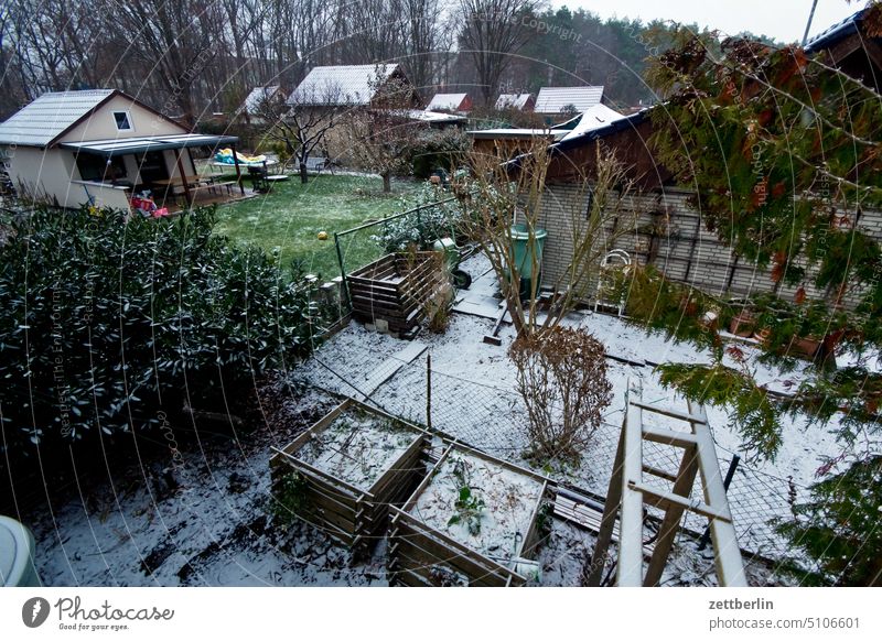 Gärten im Winter ast baum bodenfrost dämmerung erholung ferien garten hecke kalt kleingarten kleingartenkolonie kälte menschenleer nachbarschaft natur neuschnee