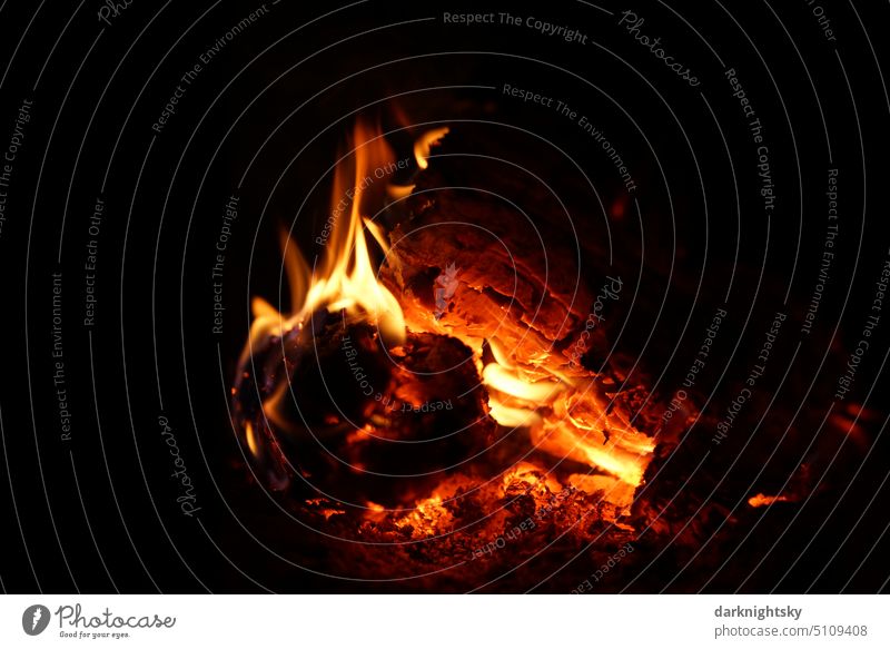 Loderndes Feuer mit Glut und Flammen in dunkler Umgebung lodernde flammen Licht Wärme orange Feuerstelle Brand gelb Nacht Holz glühen