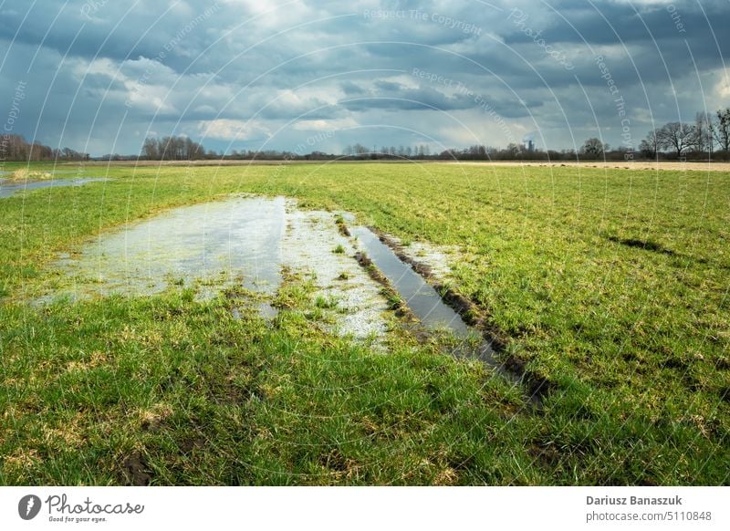 Wasser nach Regen auf der Wiese und bewölkter Himmel Feld Gras ländlich Cloud grün Natur Hintergrund Landschaft wolkig Umwelt Sommer Pfütze Saison im Freien