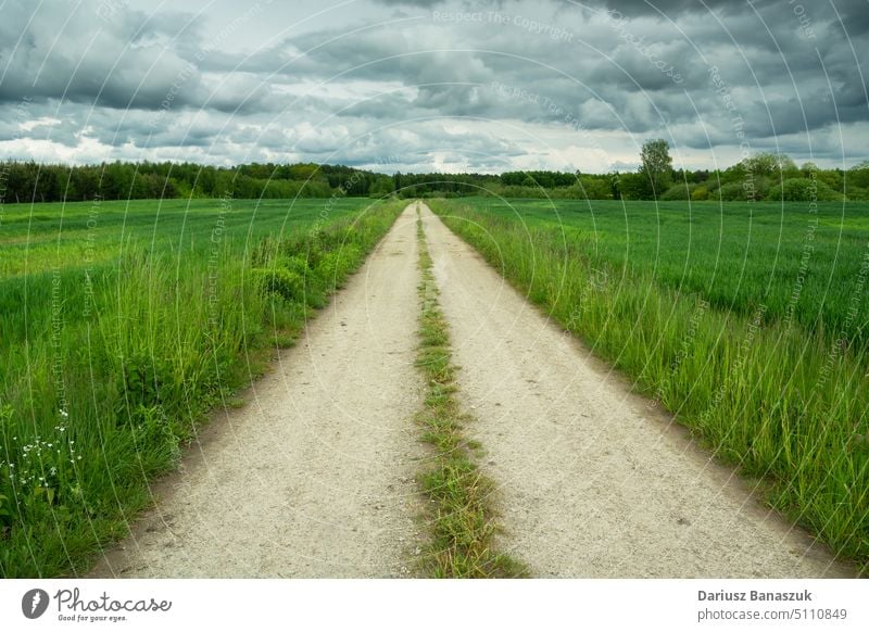 Schotterstraße durch grüne Felder und bewölkten Himmel Straße Schmutz Horizont Cloud wolkig Gras Natur Landschaft Wolkenlandschaft Weg ländlich Ackerbau Wiese