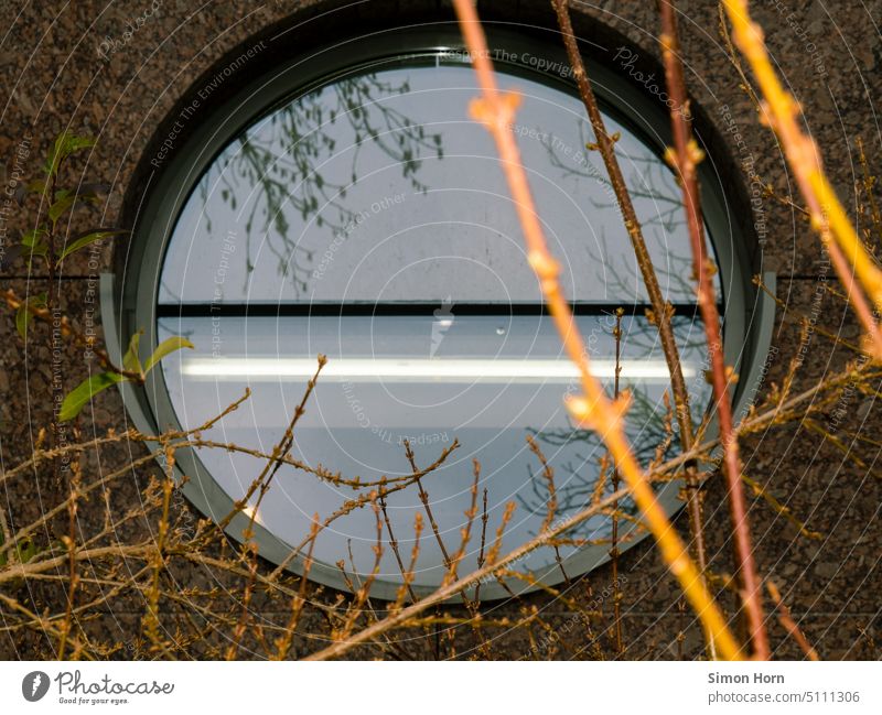 Bullauge mit Leuchtstoffröhre rund Beobachtung Voyeurismus Innenleben Äste Labor Geheimnis beobachten Fenster Neugier Auge spionieren Blick Innenraum Interesse