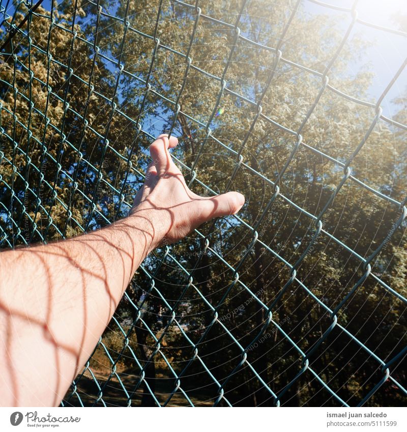 Mann greift mit der Hand an den Metallzaun, fühlt sich frei Arme Körperteil Haut Schatten Formen Finger Handfläche Handgelenk Zaun metallisch Stahl Straße