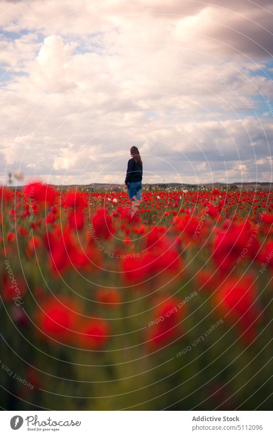 Unbekannte Frau im Mohnfeld Feld Blume Blütezeit Natur Landschaft Pflanze wolkig Himmel Wiese rot geblümt Gras lässig frisch Dame stehen hell Umwelt farbenfroh