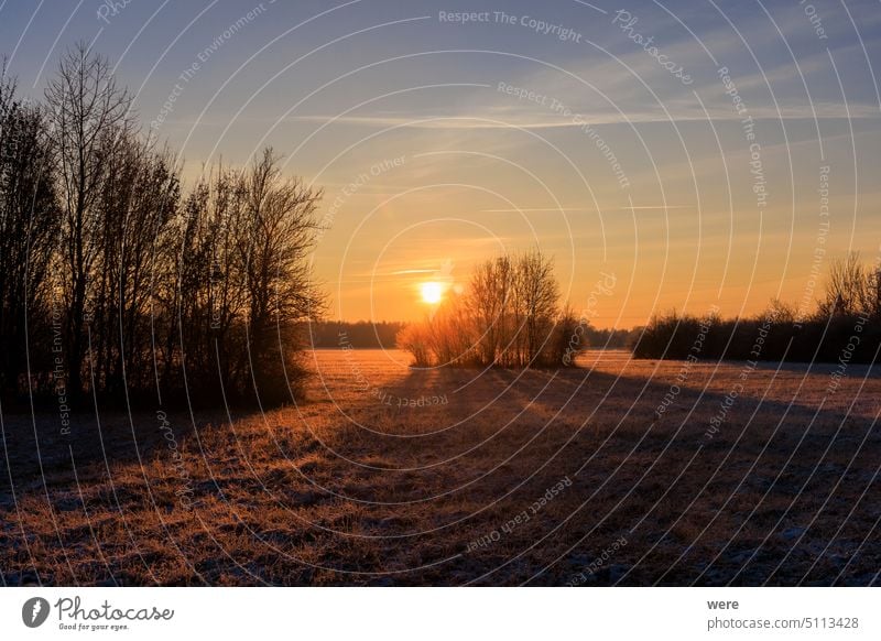 Bunter Sonnenaufgang mit goldenem Sonnenschein über Büschen und Bäumen auf einer Wiesenlandschaft in Siebenbrunn bei Augsburg Meriner Au farbenfroh Textfreiraum