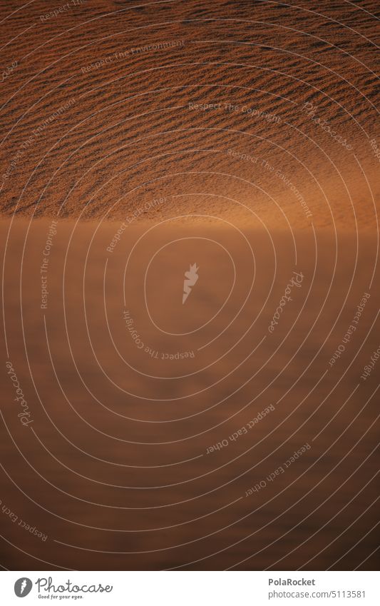 #A0# Von Sand und seinen Formen Sandstrand sandig Sandverwehung Düne Dünen dünenlandschaft Dünenschutz Dünenkamm Dünenrücken Kanaren Strand Landschaft