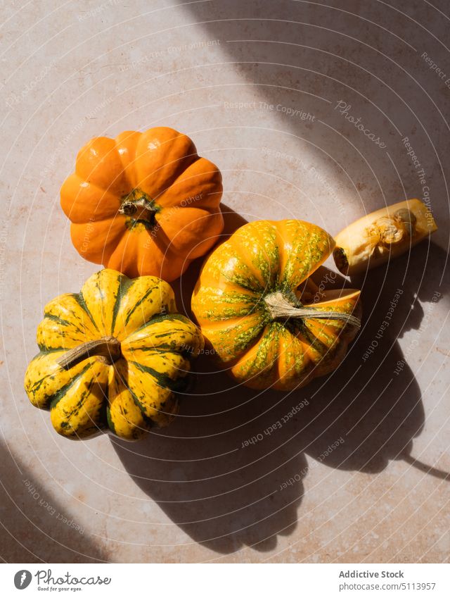 Gesunde Kürbisse auf dem Tisch im Sonnenlicht Gemüse Scheibe Vitamin frisch Lebensmittel gesunde Ernährung Gesundheit Bestandteil roh reif Squash geschmackvoll