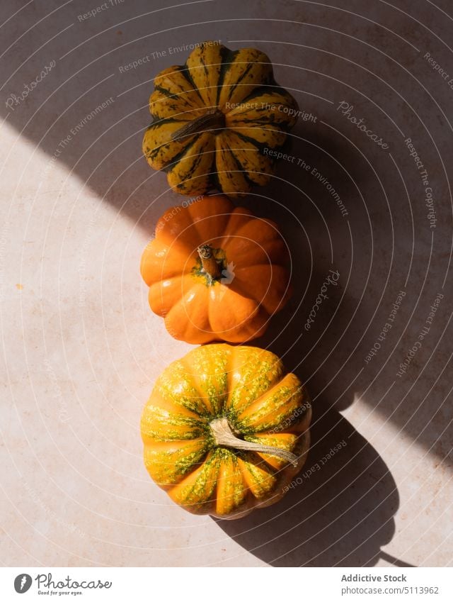 Reife Kürbisse auf dem Tisch bei Tageslicht Gemüse frisch Lebensmittel Ernte gesunde Ernährung reif Küche Vitamin Sonnenlicht Gesundheit Saison roh Squash