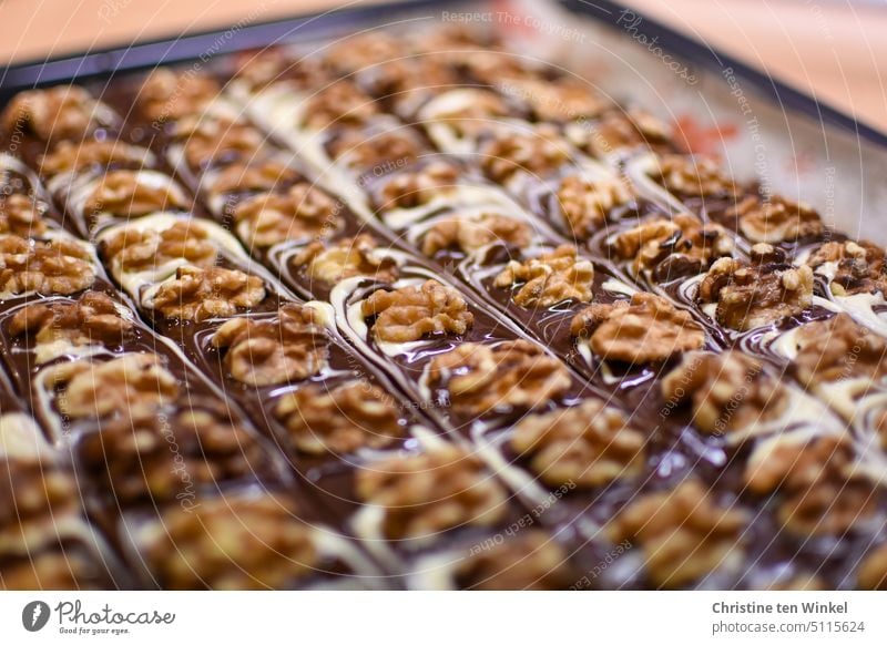 Die Brownies sind fast fertig, müssen nur noch geschnitten werden Kuvertüre Walnüsse Walnusshälften Kuchen Gebäck Schokolade lecker backen süß Lebensmittel