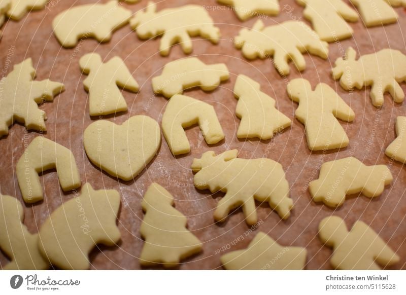 Für den Plätzchenteller Weihnachtsplätzchen Ausstechplätzchen Butterplätzchen Weihnachten & Advent Weihnachtsgebäck süß lecker backen Ausstechform