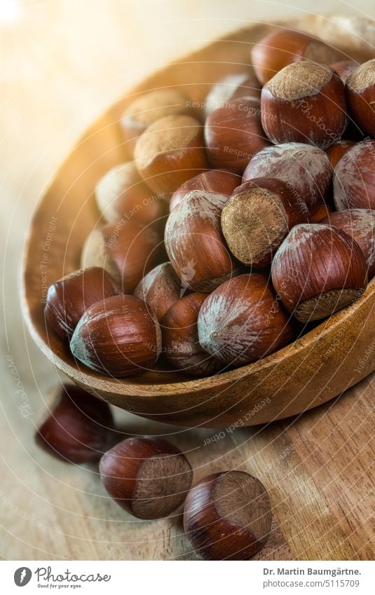 Haselnüsse in einer Holzschale Haselnuss Nuss Lambertshasel Nüsse Frucht Früchte Lebensmittel Speise Snack Zutat geringe Tiefenschärfe Nahaufnahme Sonnenlicht