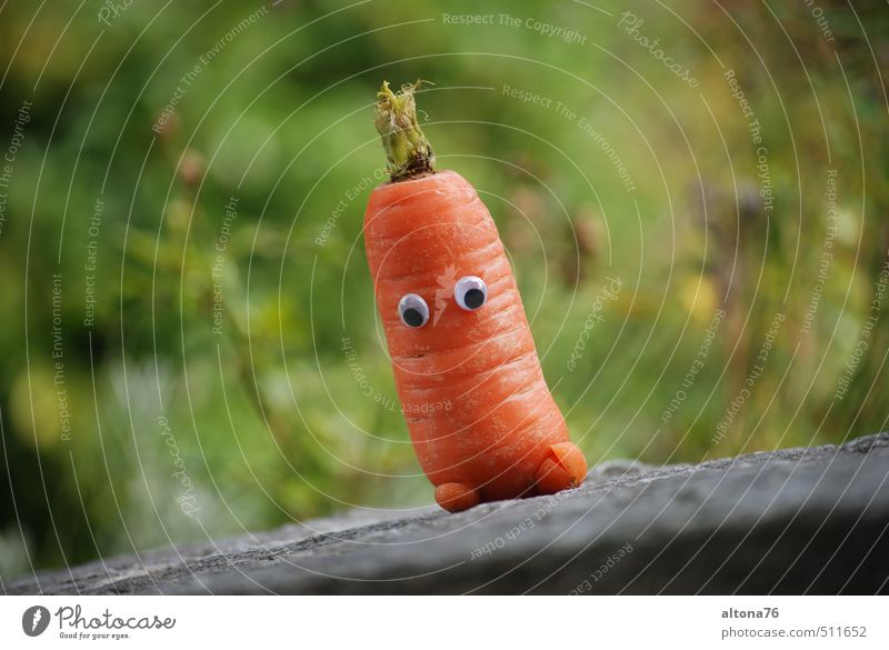 Neulich im Gemüsebeet... Lebensmittel Ernährung Bioprodukte Vegetarische Ernährung Möhre Gesundheit Natur Garten Diät füttern genießen Kommunizieren sitzen