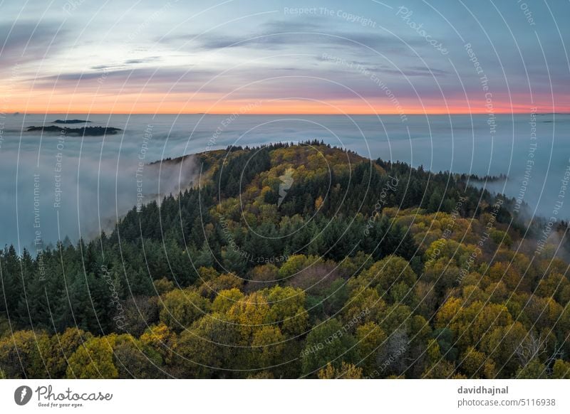 Panoramablick auf den Odenwald bei Lampenhain und Nebel über dem Rheintal. lampenhain Antenne Luftaufnahme Wald Baum Herbst Deutschland Europa Wahrzeichen Sicht