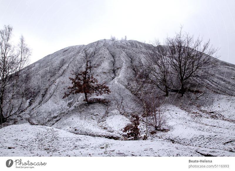 Verschneite Spitzkegelhalde Saarbrücken Bergbauer Haldenlandschaft Spitzkegeliger Kahlkopf Winter Schnee verschneit Saarkohlewald Schlackenberg Wintertag