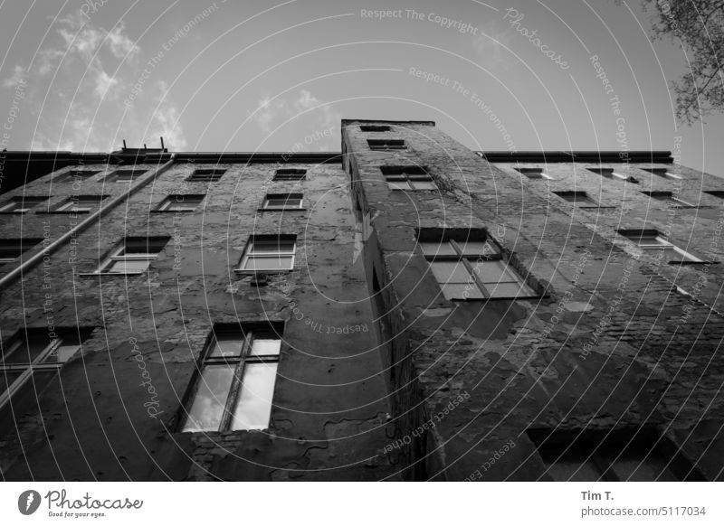 Blick nach oben in einem alten Berliner Hinterhof Prenzlauer Berg s/w unsaniert b/w bnw Winter Innenhof Schwarzweißfoto Stadt Stadtzentrum Hauptstadt Tag