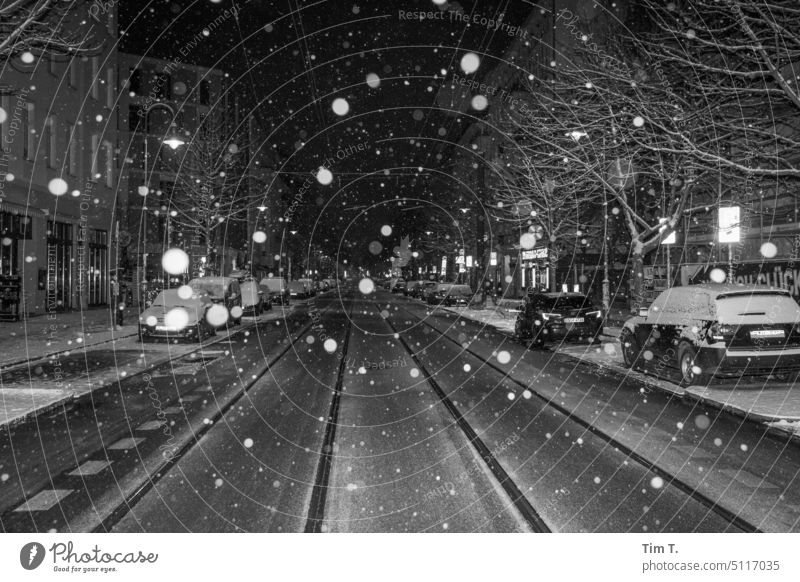 es schneit kastanienallee Prenzlauer Berg Nacht Winter Schnee s/w Schneeflocken Berlin Stadt Stadtzentrum Hauptstadt Außenaufnahme Menschenleer Schwarzweißfoto