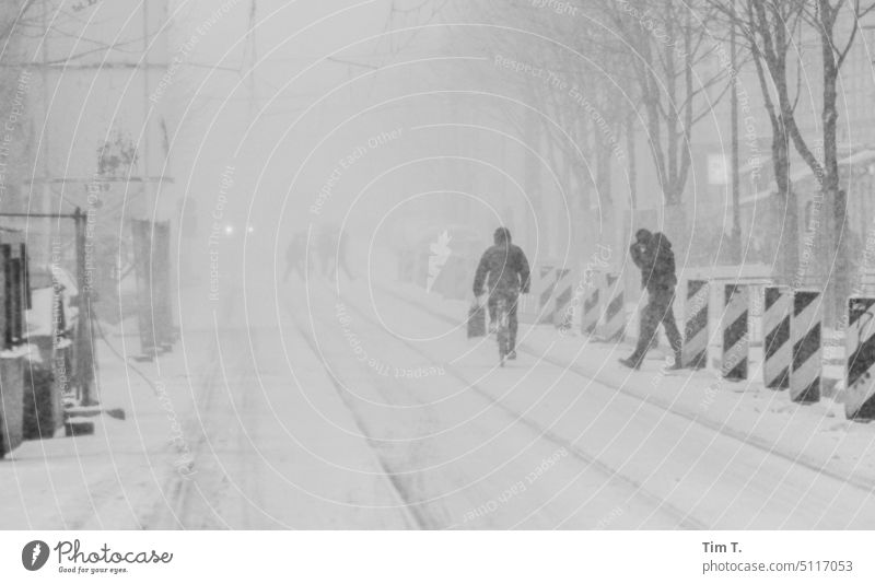 Winter in der Kastanienallee kastanienallee s/w Schnee Schienennetz Prenzlauer Berg Berlin Stadt Stadtzentrum Hauptstadt Außenaufnahme Schwarzweißfoto Altstadt