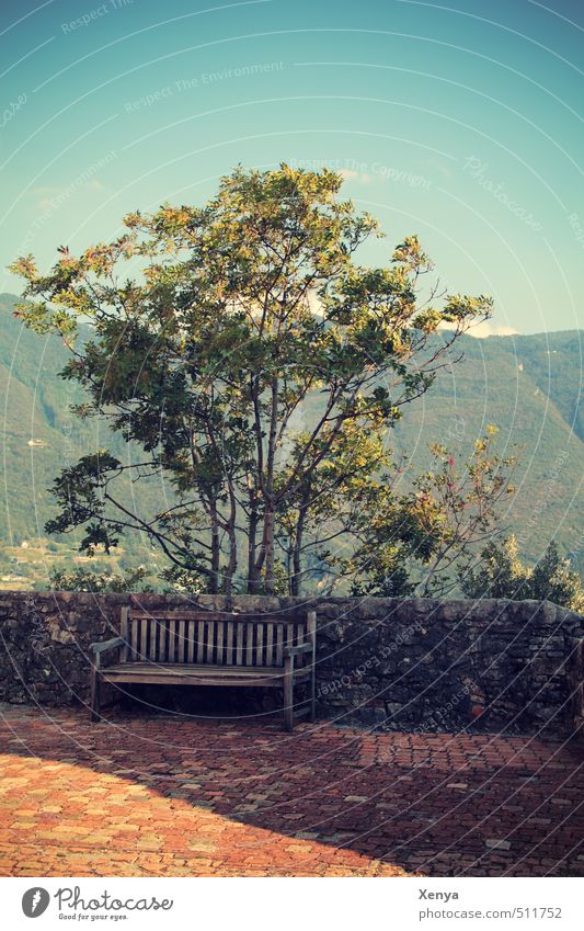 Sitzen, wo andere Urlaub machen Sommer Backstein retro Zufriedenheit ruhig Sitzgelegenheit Bank Pause Spazierweg Mauer Parkbank Frieden träumen Baum Einsamkeit