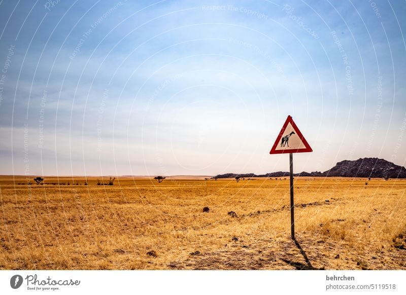 obacht! Schotterweg Schotterpiste auf pad Namibia Abenteuer Farbfoto reisen Freiheit Natur Fernweh Ferne weite Afrika außergewöhnlich Ferien & Urlaub & Reisen