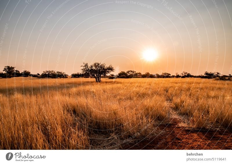 sonnengeschichten Fernweh reisen Farbfoto Landschaft Einsamkeit Sehnsucht Natur Ferien & Urlaub & Reisen Abenteuer besonders stille Dämmerung magisch traumhaft