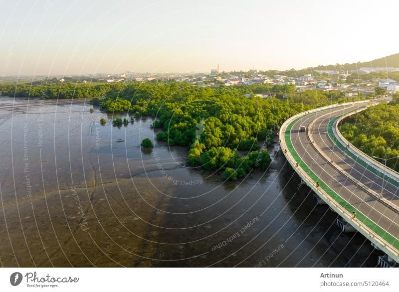 Luftaufnahme einer kurvenreichen Straße mit grünem Mangrovenwald und Stadt am Meer. Ökosystem Mangrove. Mangroven binden CO2 aus der Atmosphäre. Blauer-Kohlenstoff-Ökosysteme. Mangroven absorbieren Kohlendioxid-Emissionen.