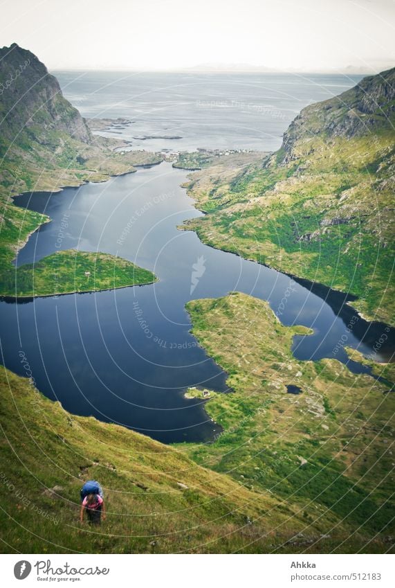 A i Lofoten sportlich Ferien & Urlaub & Reisen Ausflug Abenteuer Ferne Freiheit Berge u. Gebirge wandern Leben Natur Landschaft Seeufer Fjord Tal