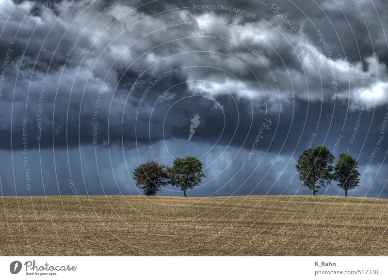 Bäume Natur Landschaft Pflanze Luft Himmel Wolken Gewitterwolken Sommer Wetter schlechtes Wetter Wind Regen Baum Feld Hügel Stimmung Kraft Romantik ruhig