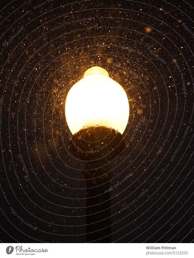 Schneeglöckchen Lampe Straßenlaterne Licht Schneefall Nacht Beleuchtung Straßenbeleuchtung dunkel Außenaufnahme Abend leuchten Peitschenlaterne Menschenleer