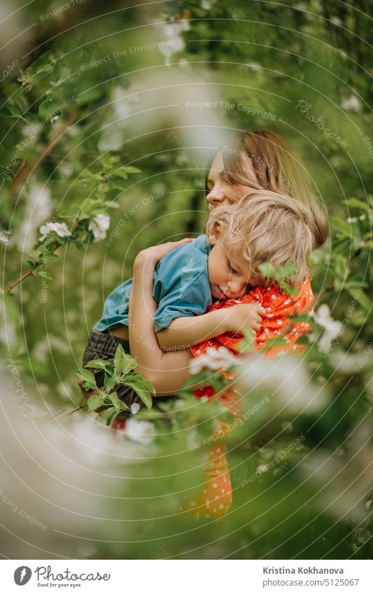 Schöne rührende Szene von Mutter und Kleinkind Sohn in blühenden Frühlingsgarten. Glückliche Mutter und Baby Junge umarmt. Familie, Liebe, Kindheit Konzept.