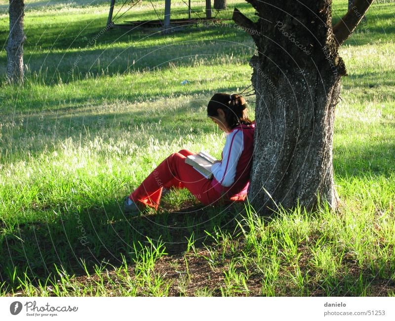 Stille Zeit ruhig Buch Bibel lesen Gebet Götter Wiese Baum Licht Mädchen Natur Mensch Gott Morgen Einsamkeit quitness book bible reading prayer morning lonely