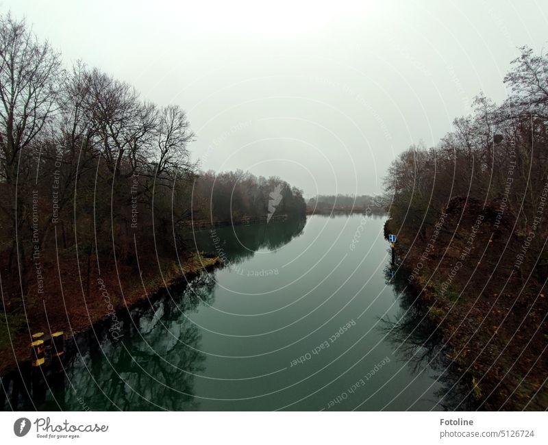 Das Strausberger Mühlenfließ an einem grauen Dezembertag. Das Wasser ist spiegelglatt und die Bäume kahl und nackt. Wald Natur klar Klarheit Spiegelung trist