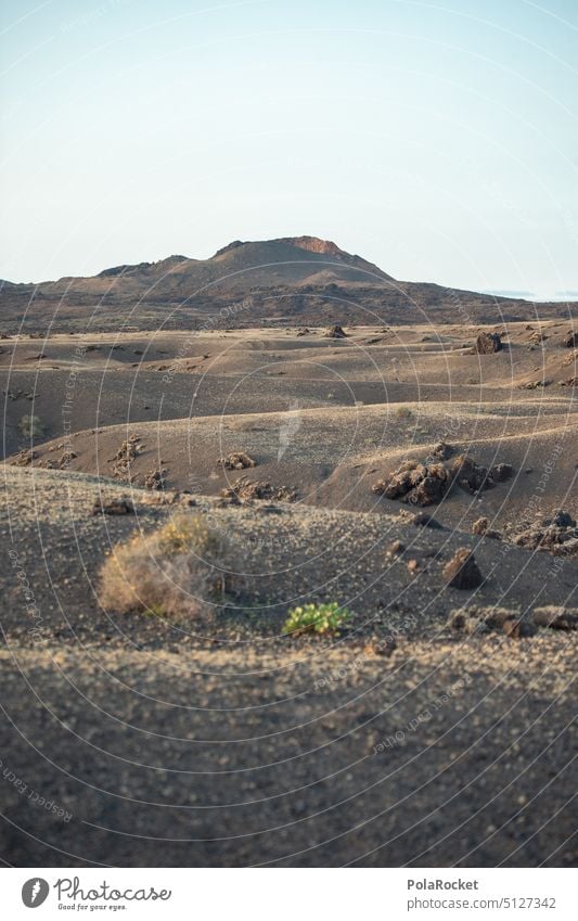 #A0# Im Vulkan krater vulkanisch Vulkankrater Vulkaninsel vulkangestein Vulkanologie Vulkanismus Vulkane Kanaren Lanzarote Landschaft mächtig Natur Island